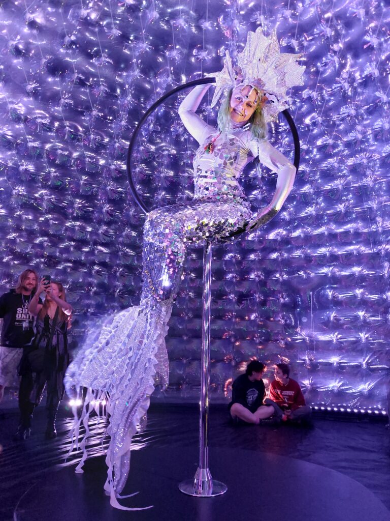 mermaid mirrorball in hoop