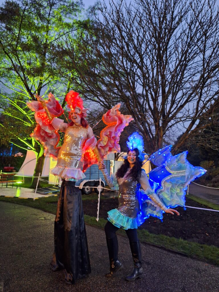 samba sea creatures at night